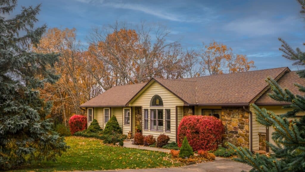 Fall lawn.