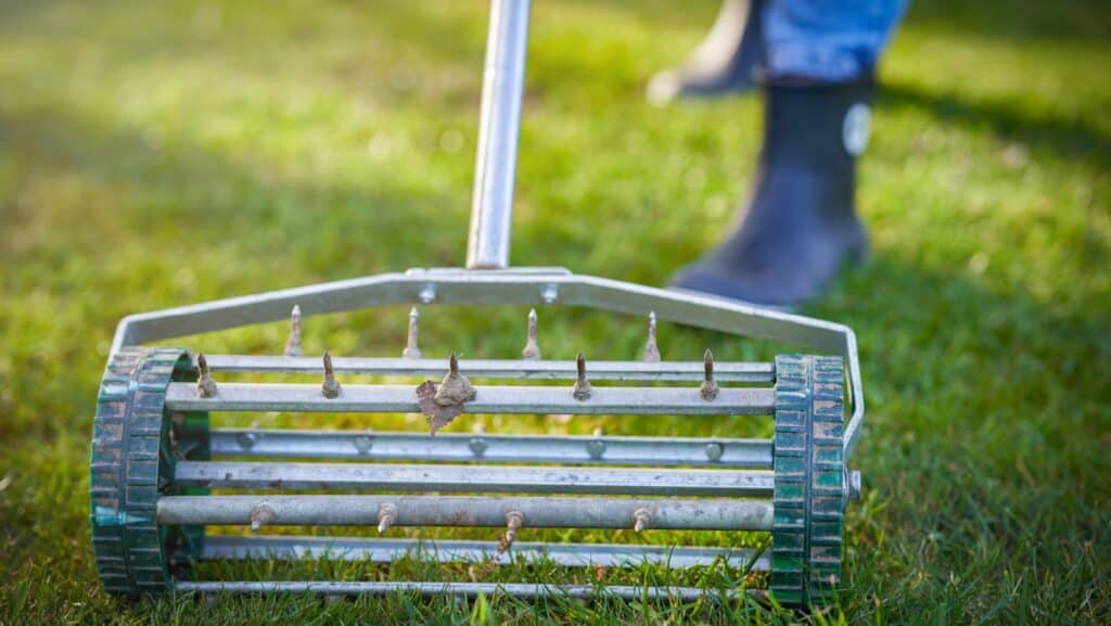 aerate lawn.