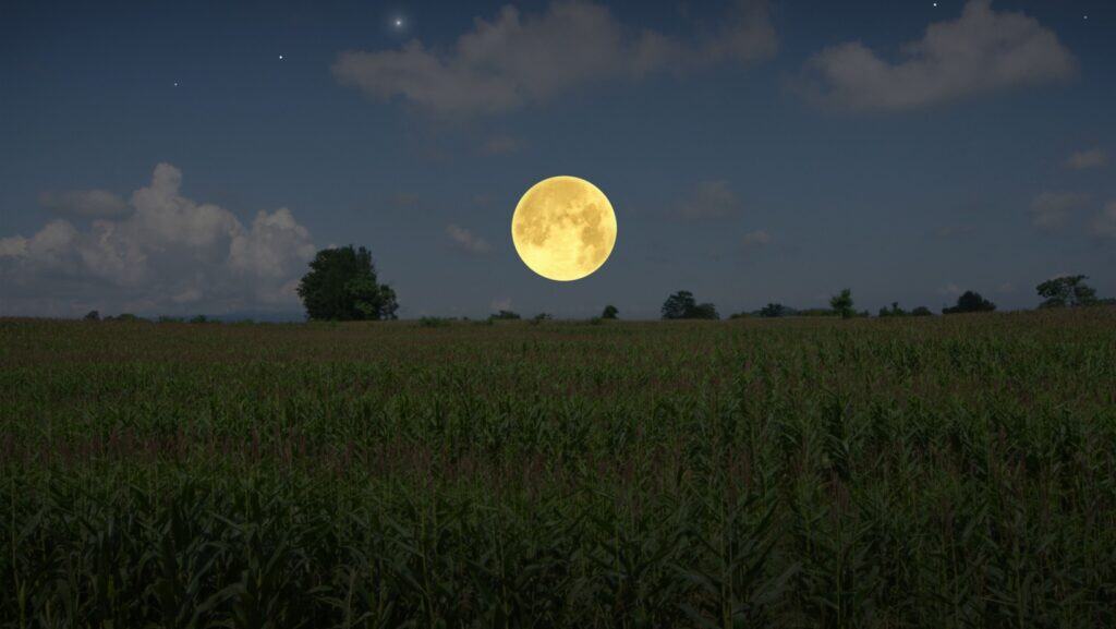 moon.