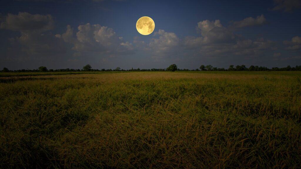 moon.