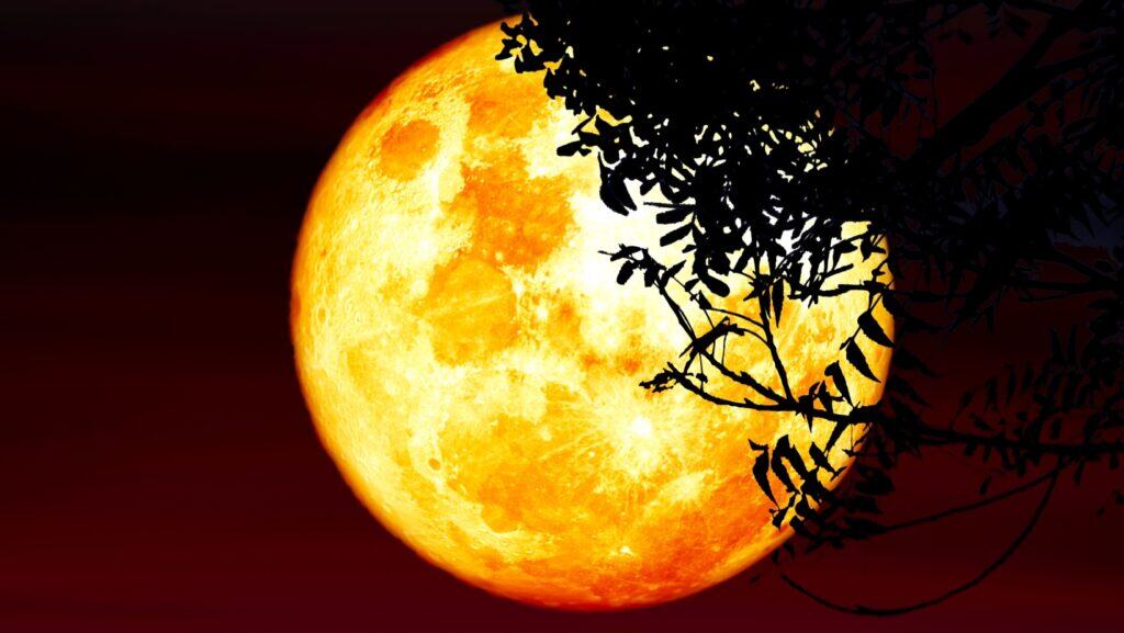 moon.