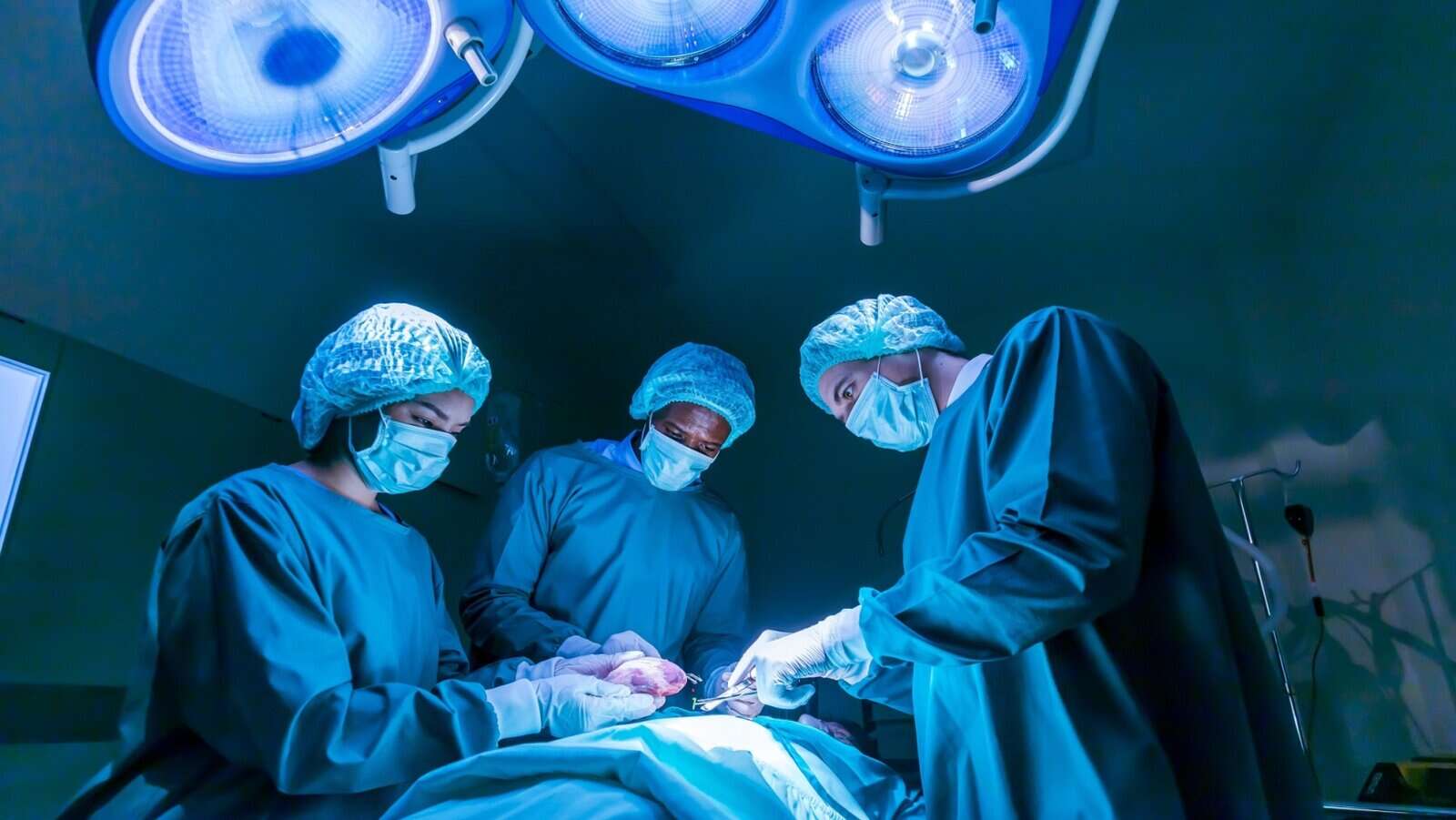 organ donation. surgery. surgeons. hospital.