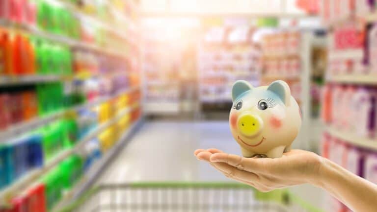 piggy bank. Shopping grocery.