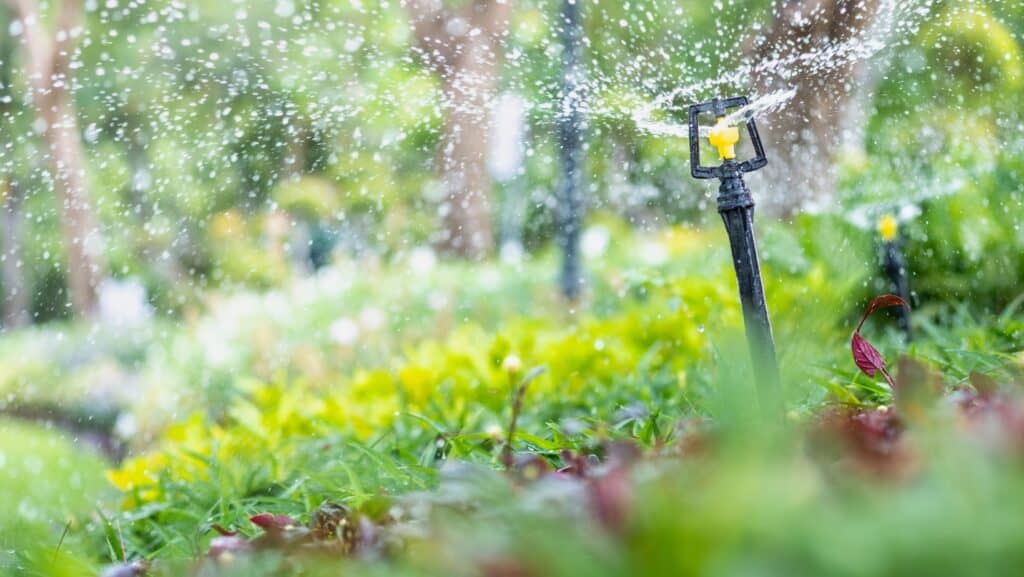 water lawns.