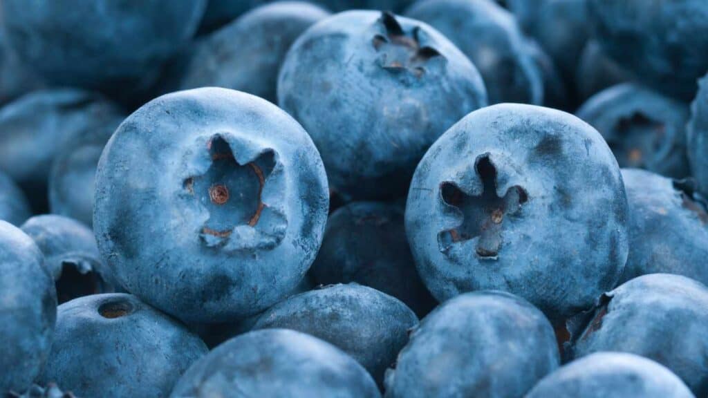 6 Power-Packed Berries That Boost Liver Health