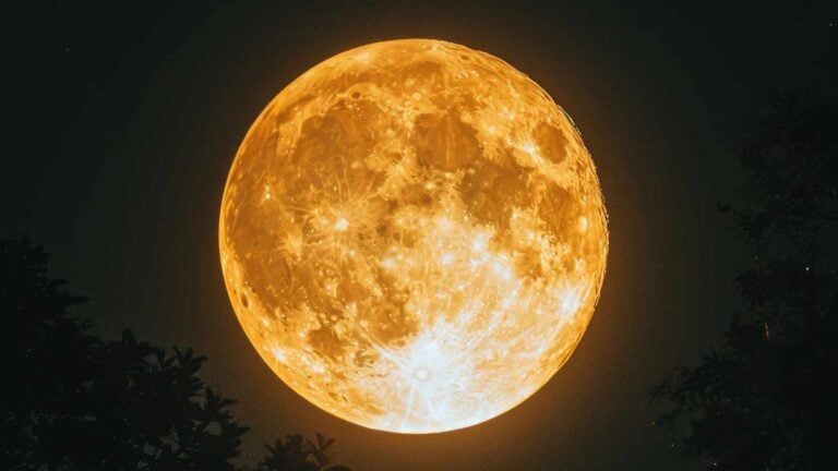 Hilarious Myths About Childbirth That Are Totally Wrong