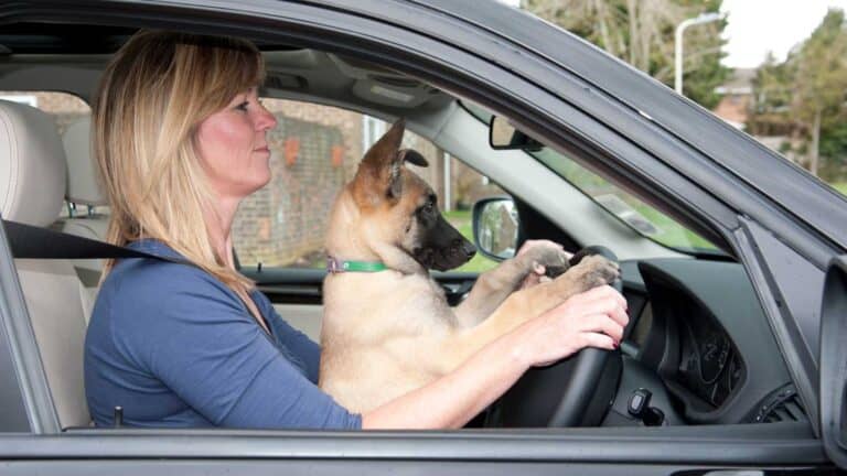 innocent driving habits from the past that will get you fined today