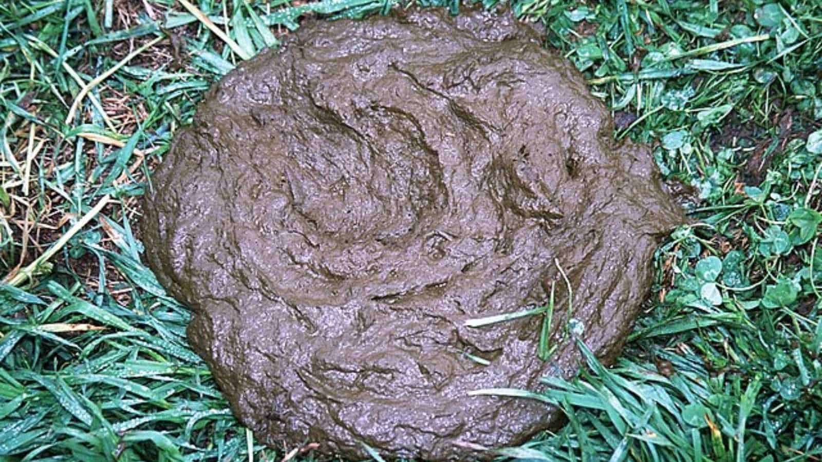 disgusting habits from the Old West that were actually considered normal