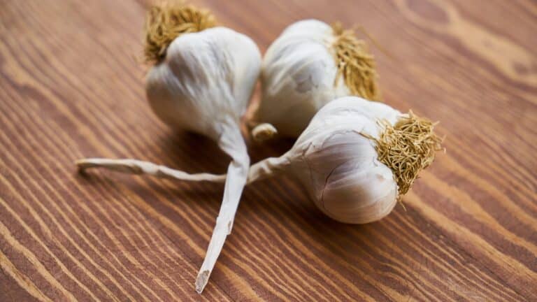 13 foods your heart and arteries will thank you for eating