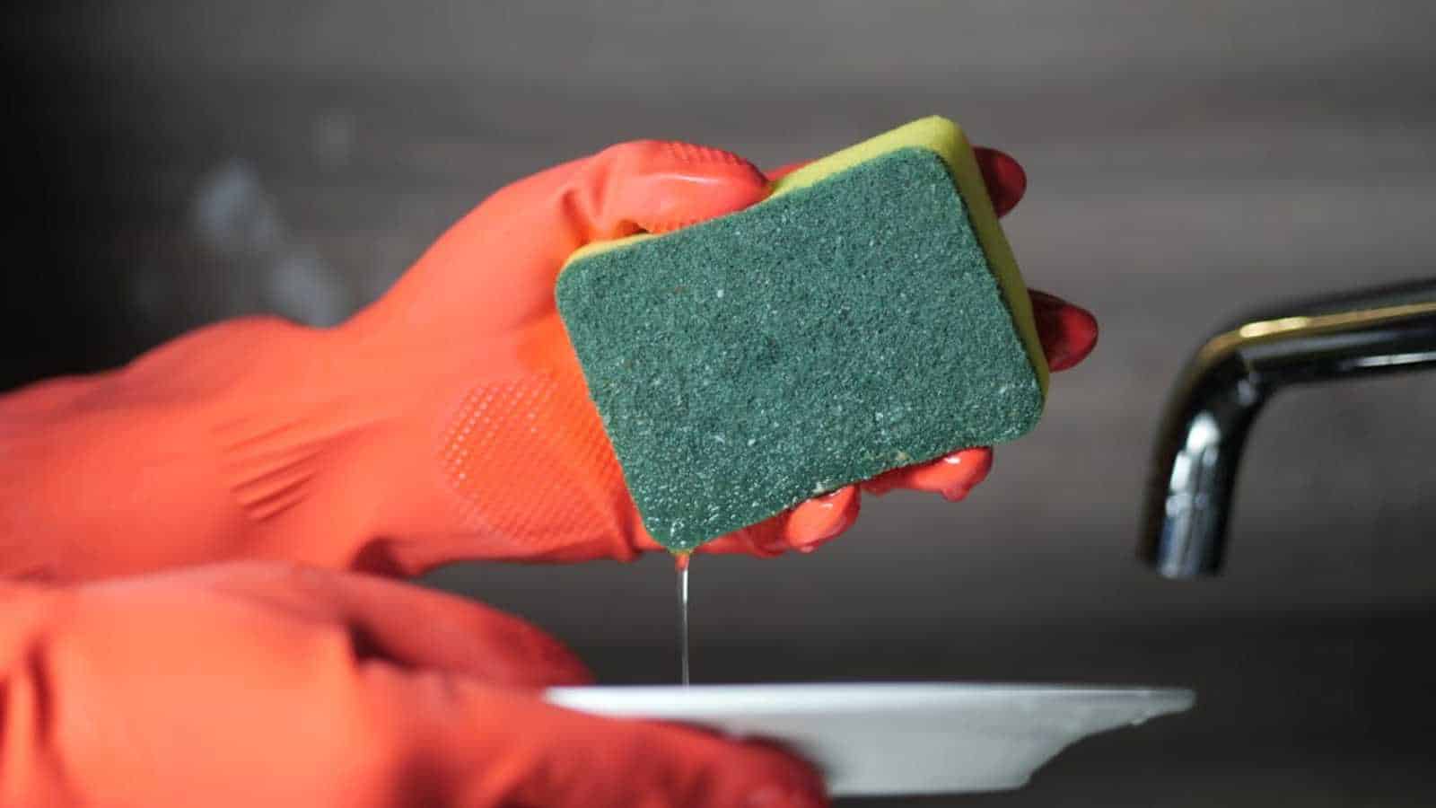 everyday items so dirty you must wash your hands immediately.