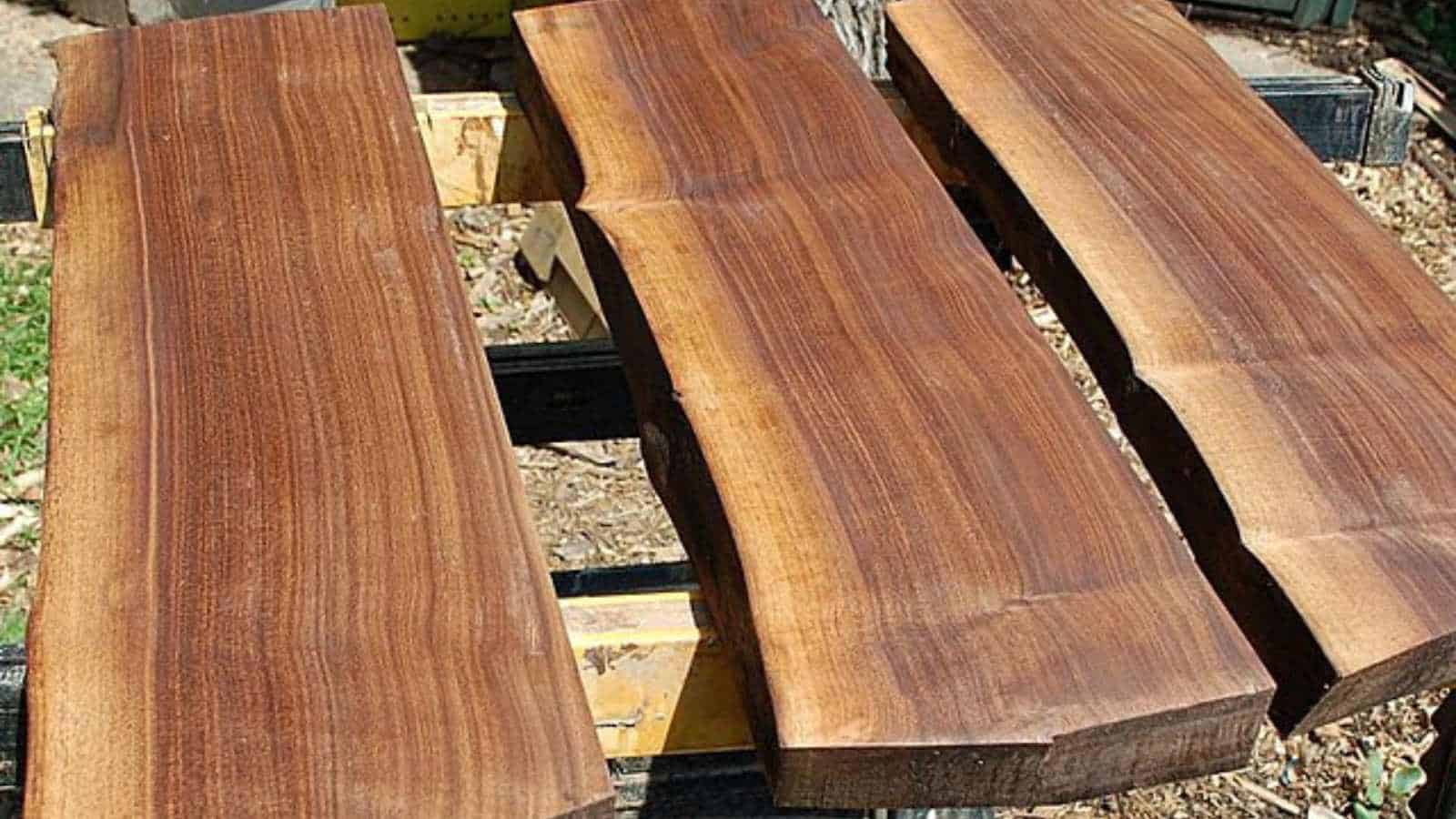blackwalnut