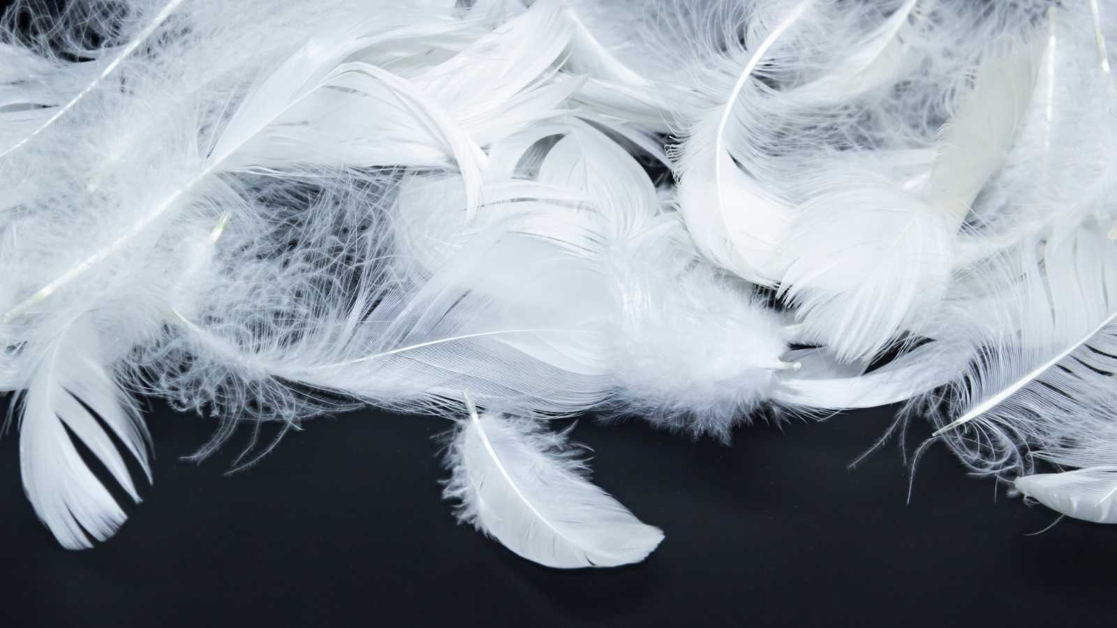 You might be missing these signs that a guardian angel is near