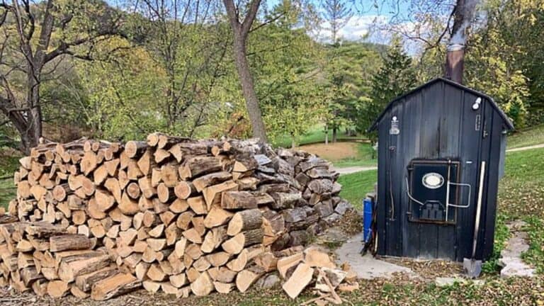 everyday backyard tools that could soon be illegal to own