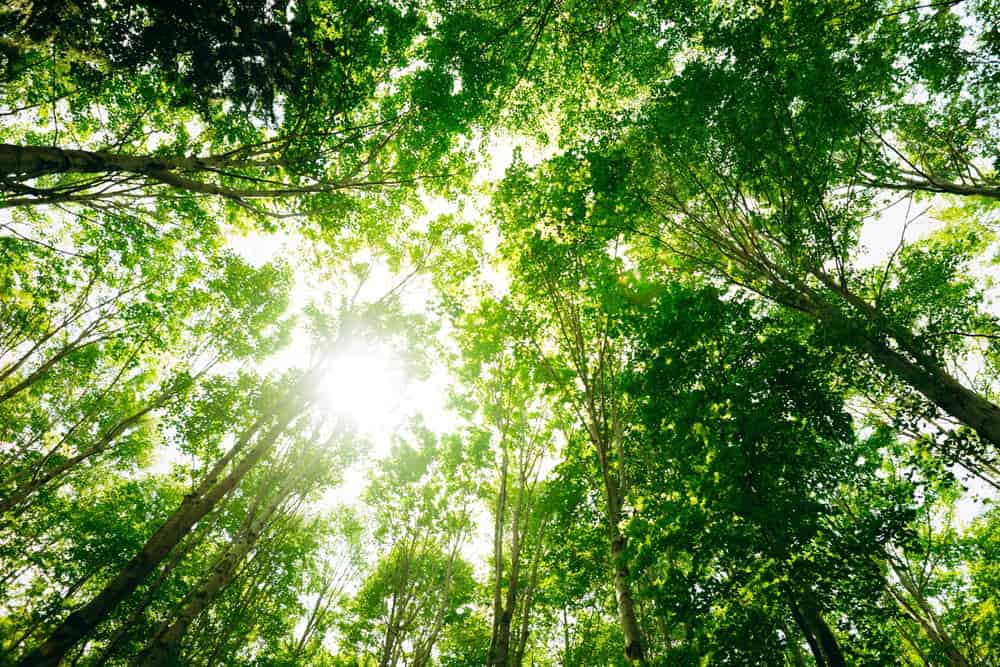 changes boomers believe shaped America for good