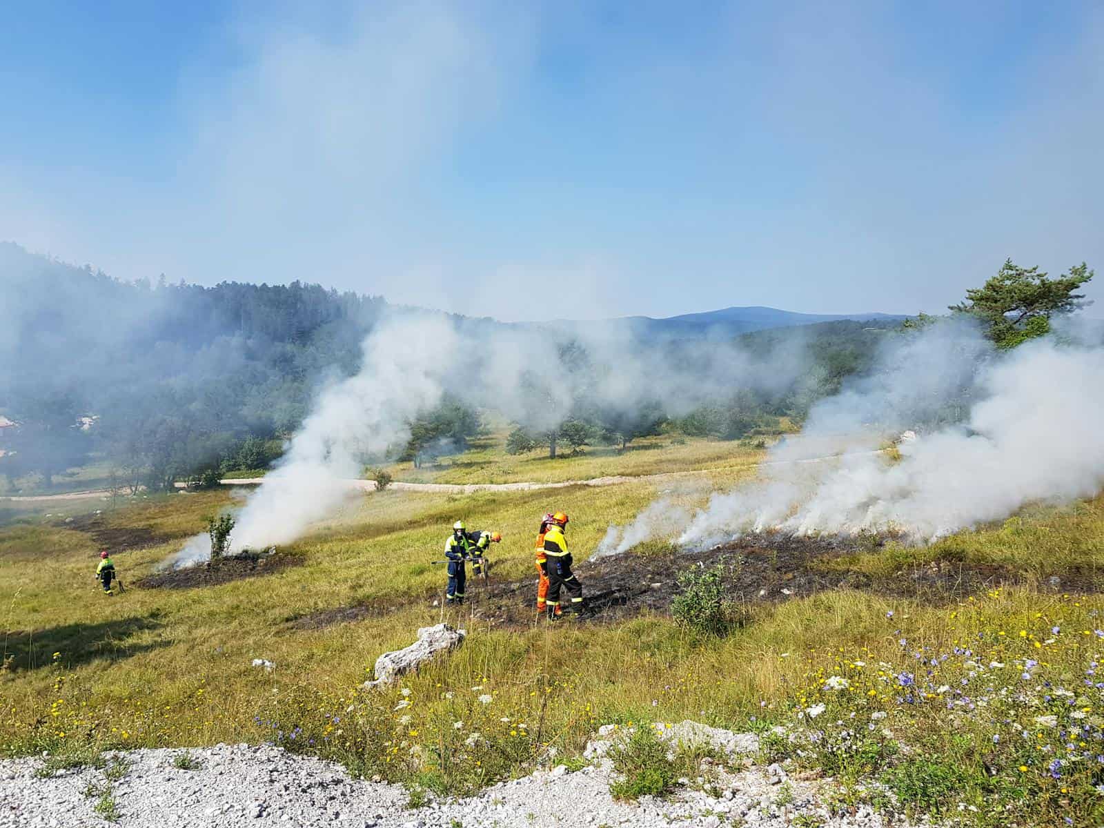 Firefighters managing smoke and flames in grassy hillside meadow during a wildfire.