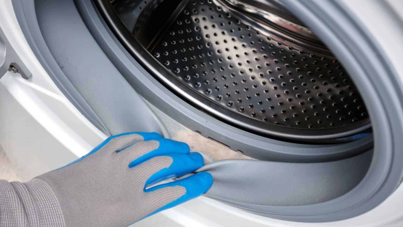reasons why leaving your washer door open (or closed) changes everything