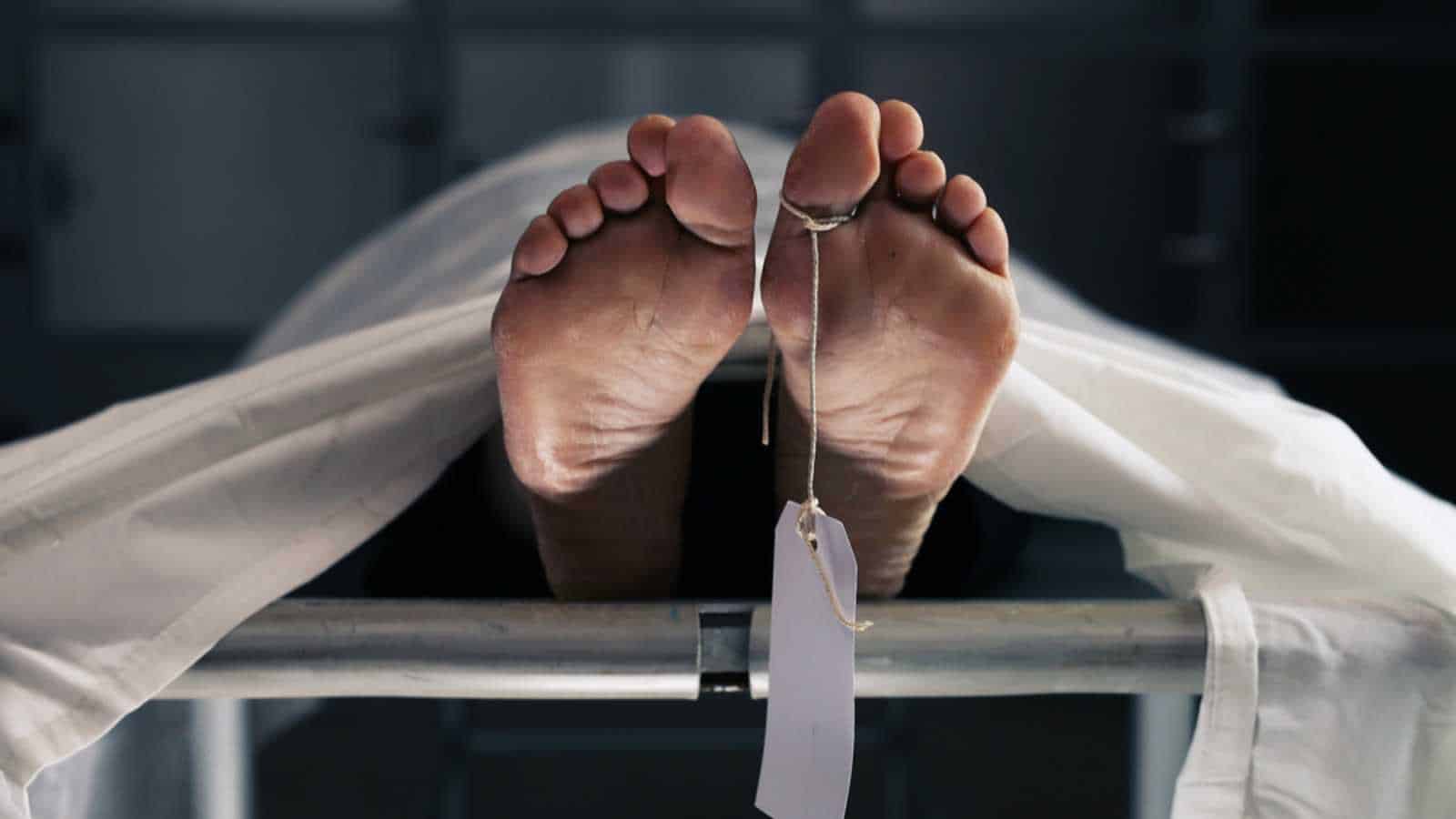 reasons death may not be what it seems