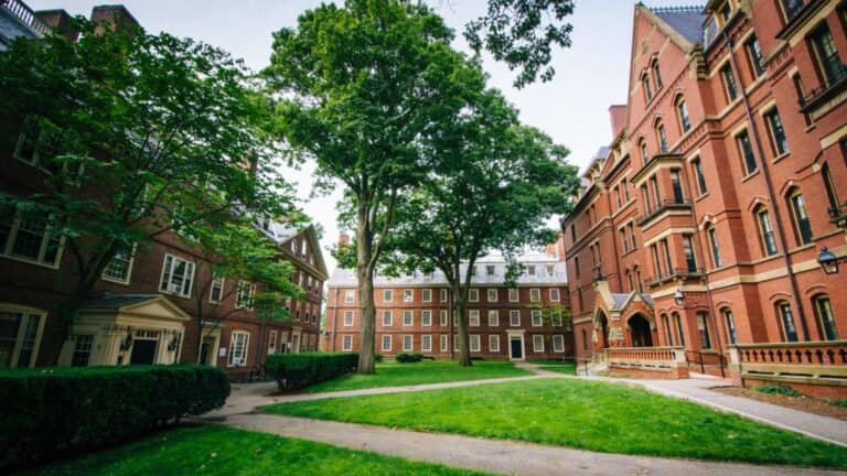 Nearly half of Harvard seniors admit to cheating, even before ChatGPT
