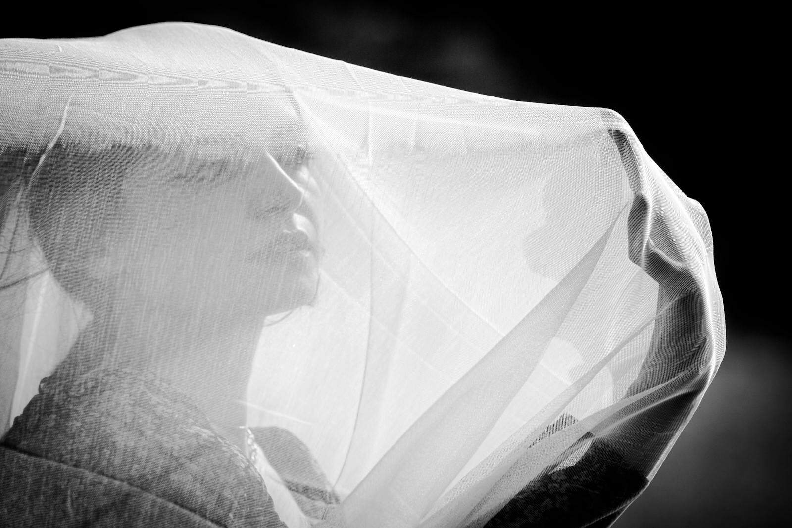 A mysterious black-and-white portrait of a woman with a sheer veil, evoking elegance and intrigue.
