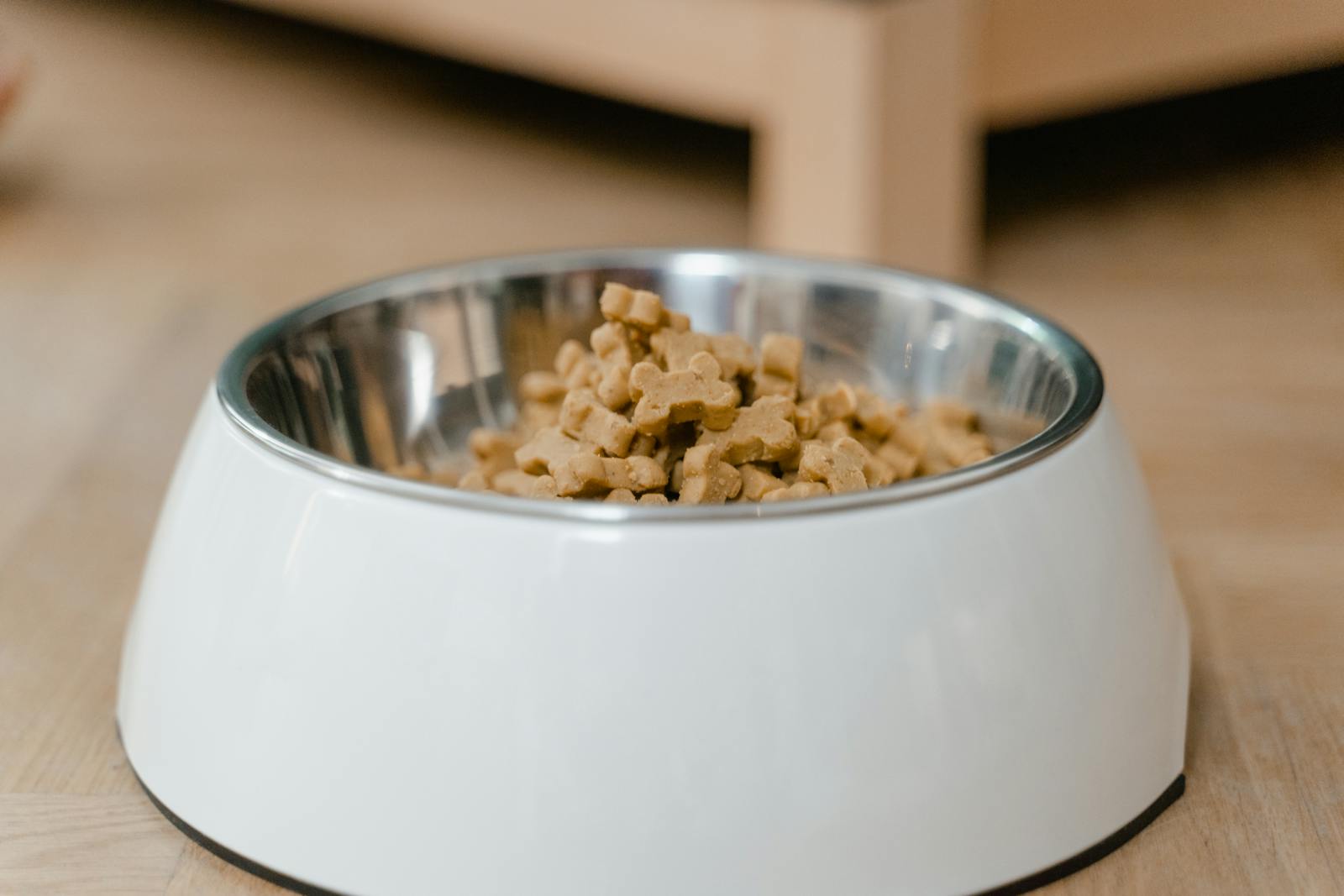 A stainless steel dog bowl filled with dry dog treats on a wooden floor.Pet Food