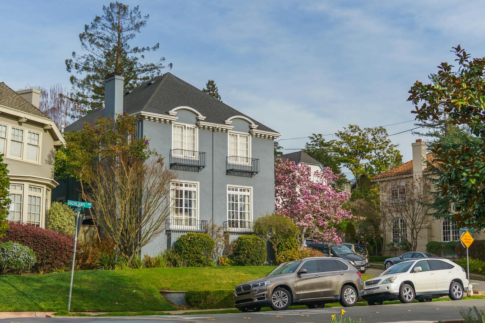 Charming suburban street with elegant houses and blooming trees under a clear sky.