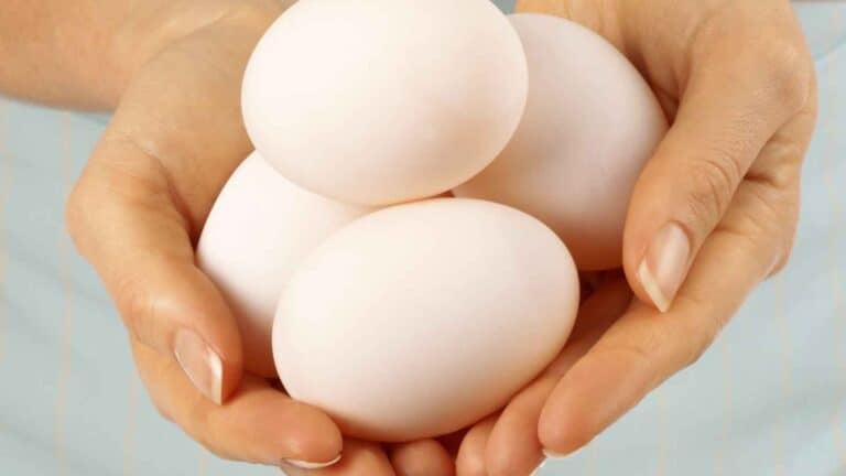 12 Practical Egg Hacks Every Woman Can Benefit From