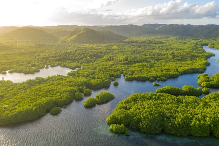 12 environmental blind spots that deserve more attention