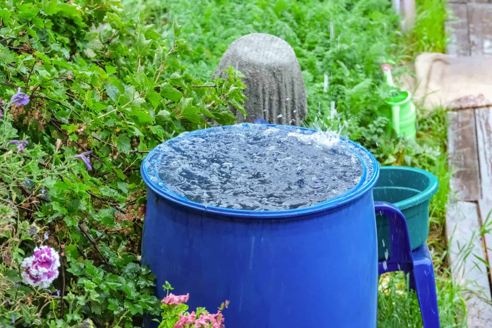 Rain barrels