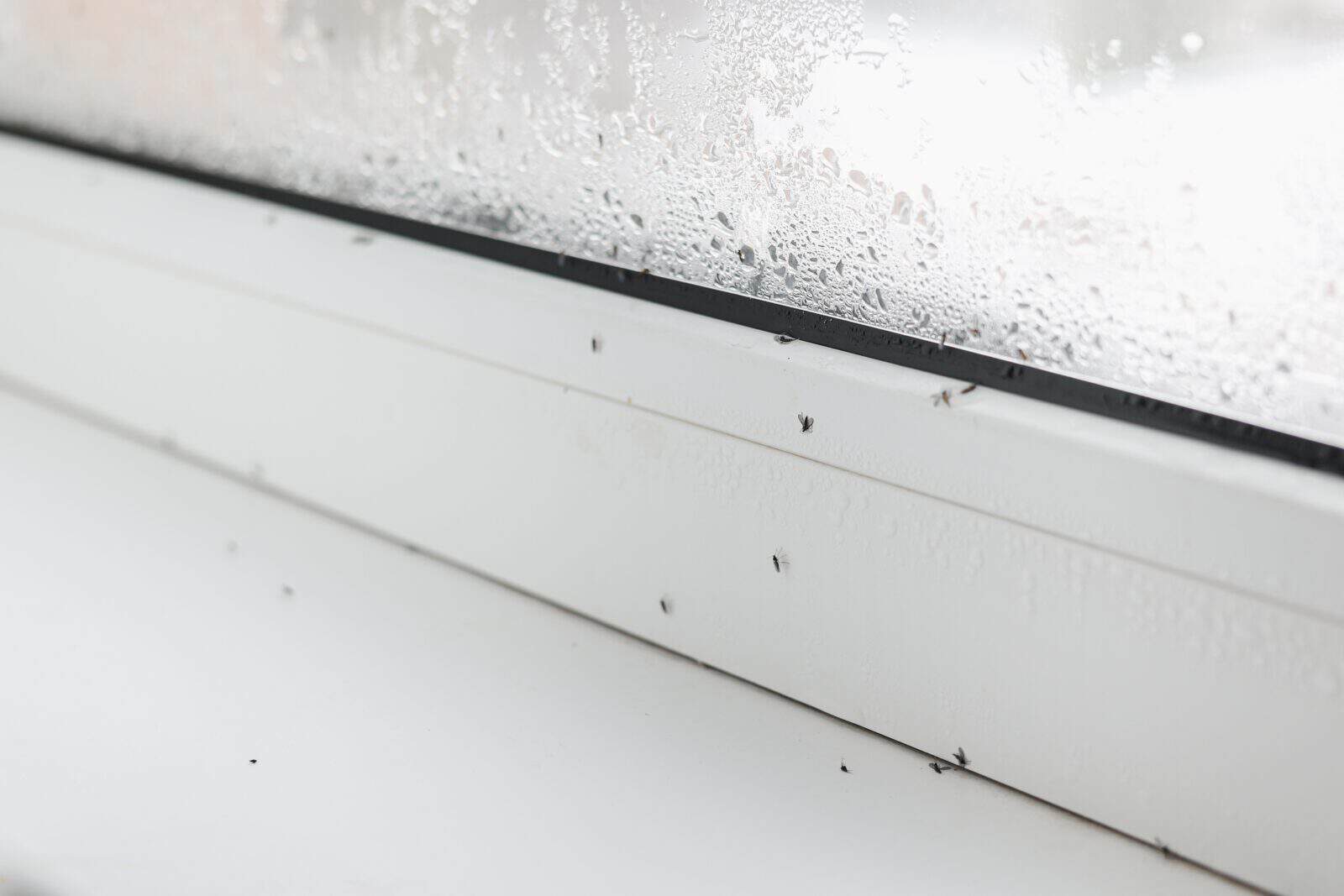 Pest signs appear