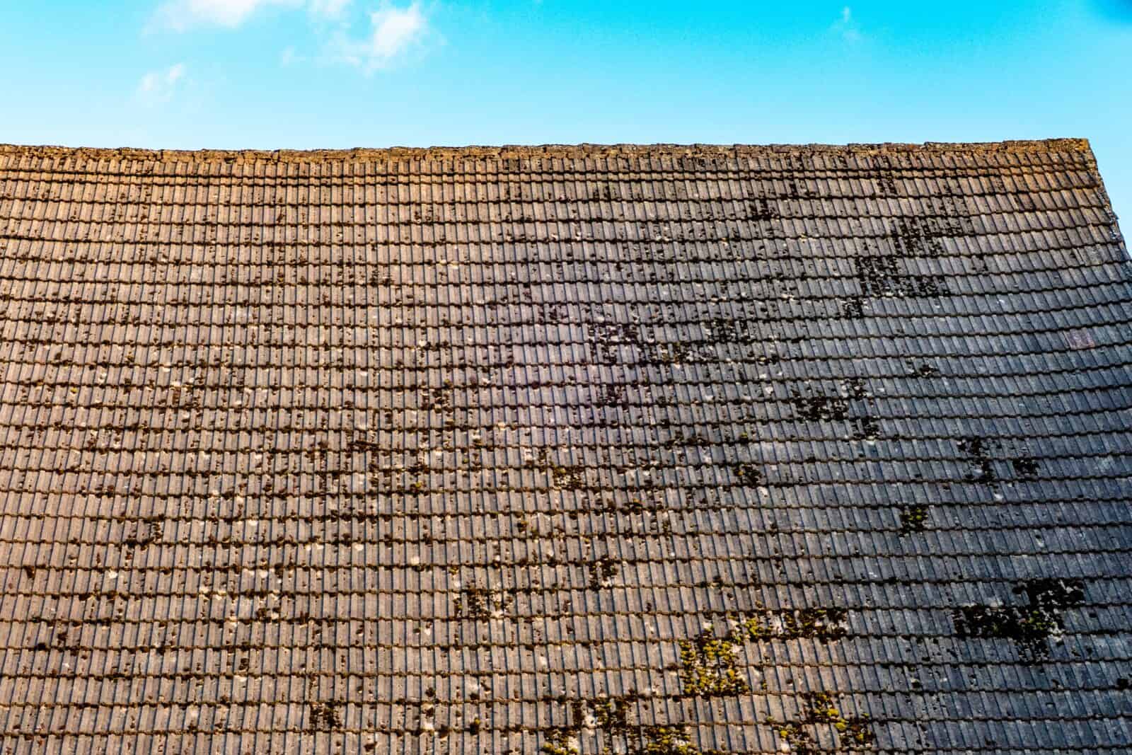 The roof looks tired