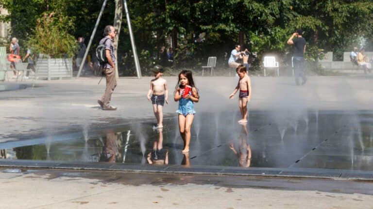 ‘Your cities are 90% air-conditioned’: Paris official blames U.S. for deadly heat