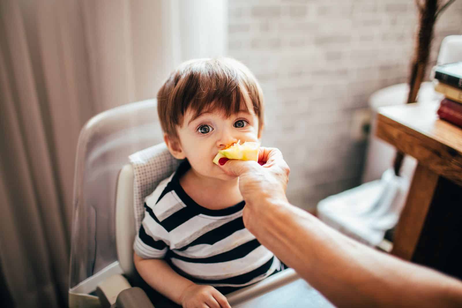 Crop unrecognizable parent feeding adorable little boy in chair with fruit while looking at camera in light room at home Manage Choking Hazards At Mealtime