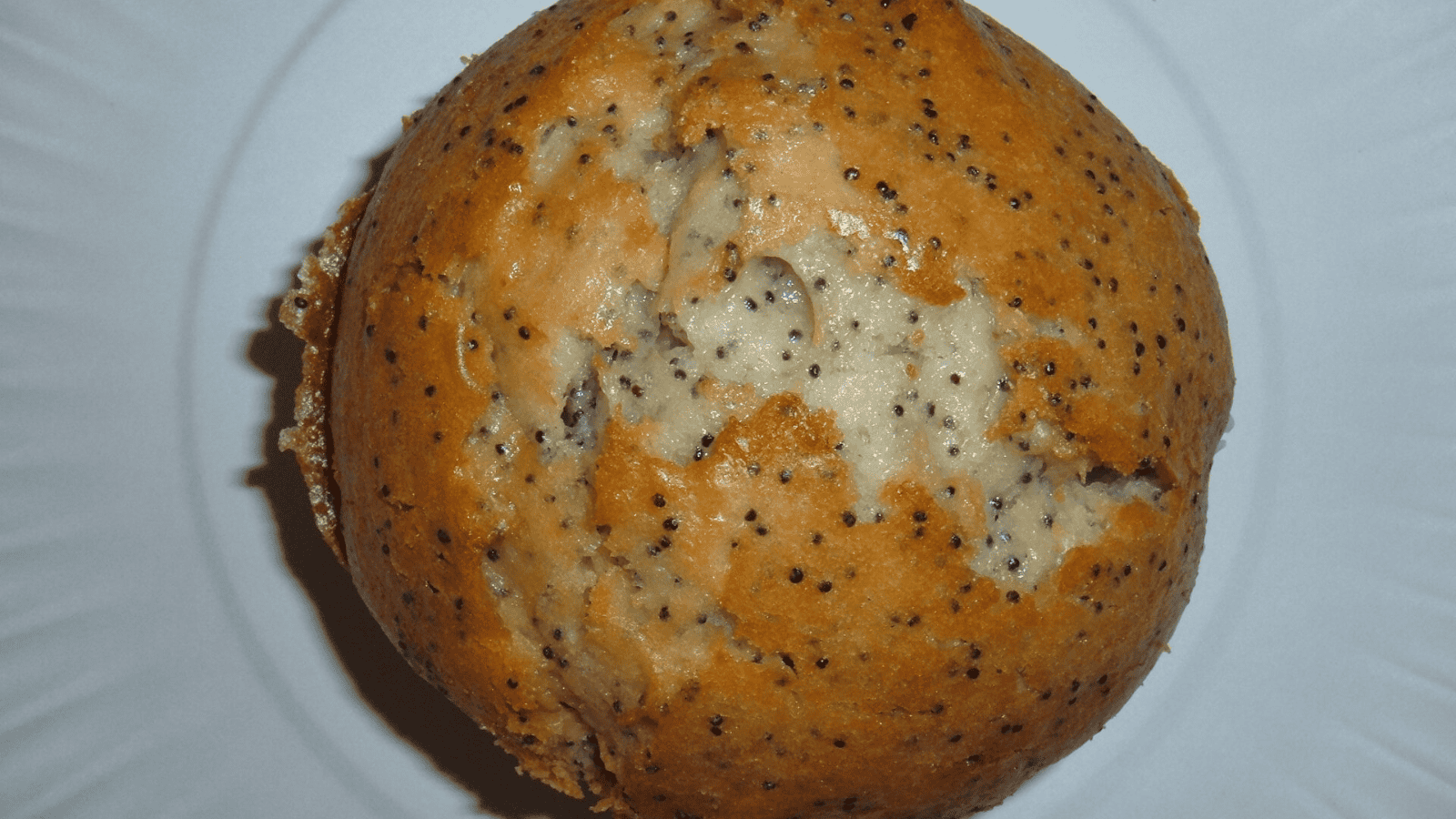 poppy seed muffin