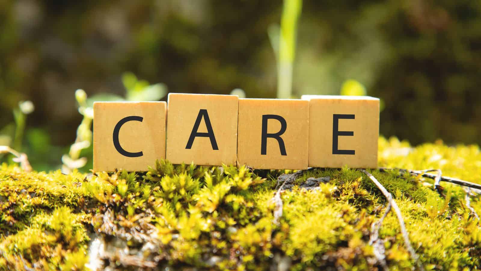 12 reasons Adult Children Choose Not to Care for Neglectful Parents