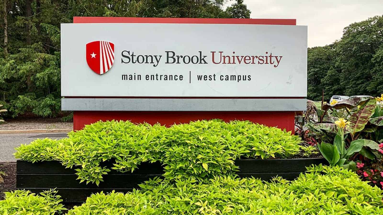 worst college towns in America, according to the students who live there
