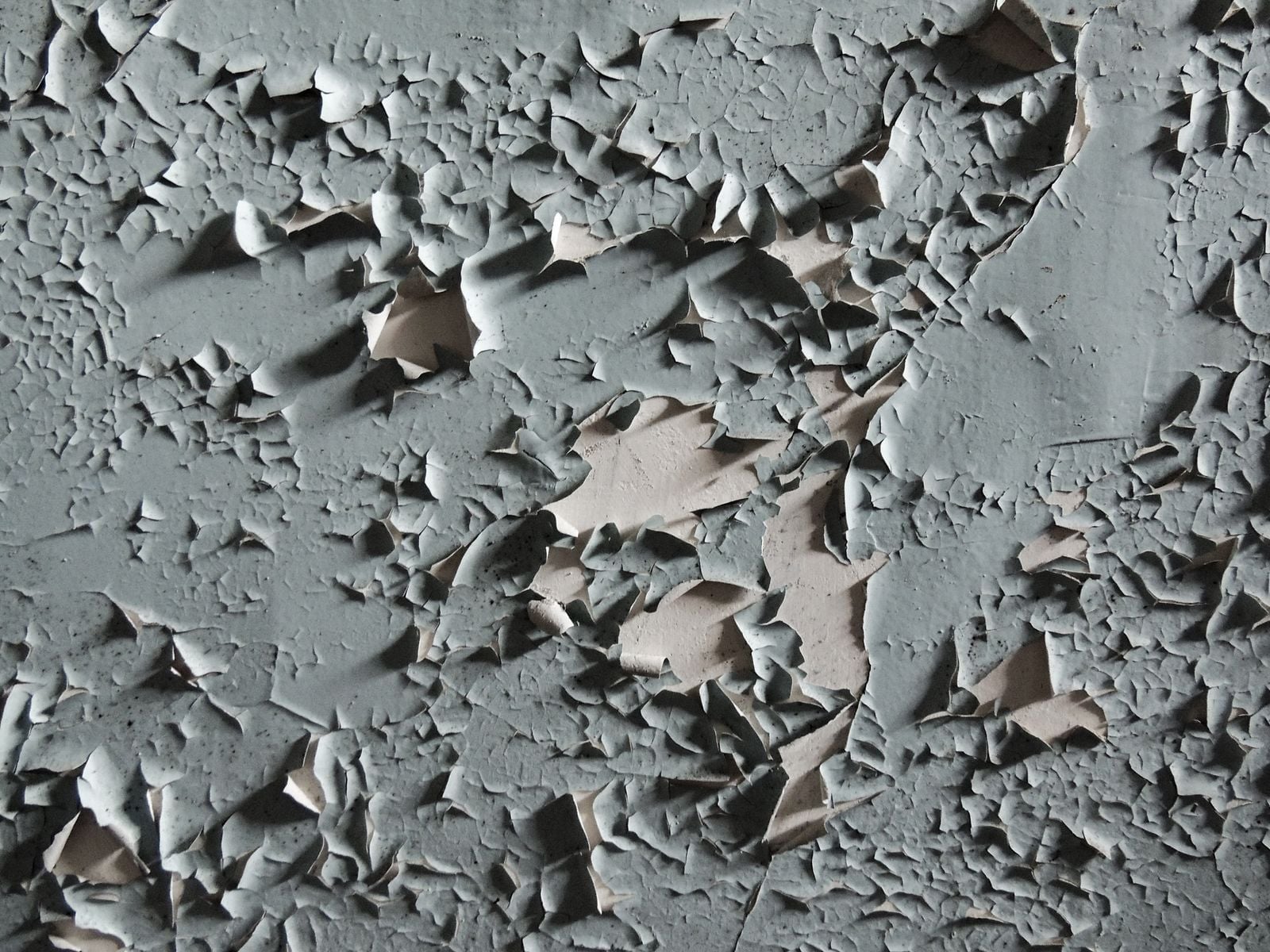 Detailed texture of cracked and peeling paint on an aged wall surface.