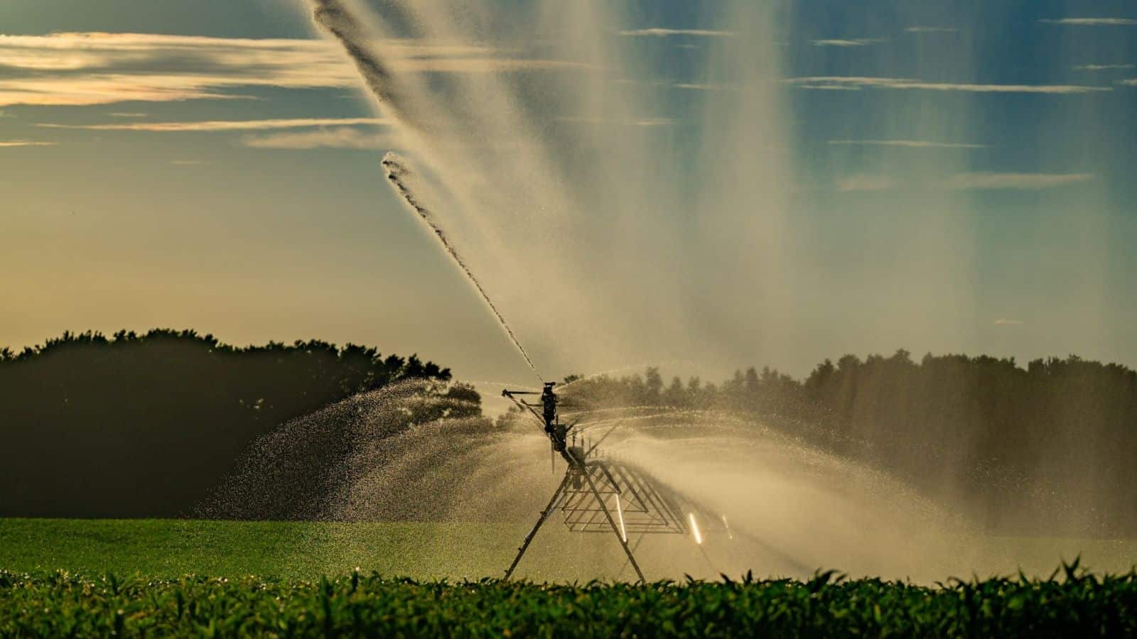 center pivot irrigation system - farm